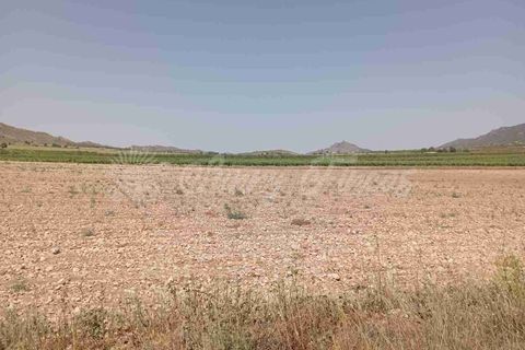 Helårsgrund i Yecla, Murcia, Yecla - € 39.000 | Ref: SF0472 - foto 11